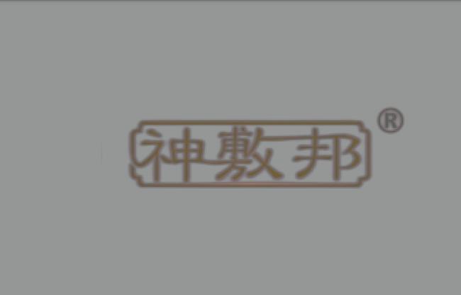 生物与医疗科技企业 聚焦研发、咨询与服务，构建核心竞争优势